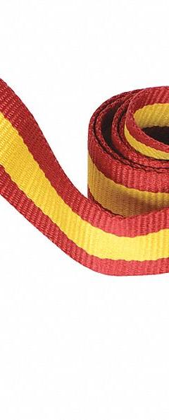 VESTIL Wheel Chock Strap Kit: 1 in Overall Wd, 1/8 in Overall Ht, Nylon, 3 ft Overall Lg, Orange (MPN STRAP-3-WC). Key specifications — Color: Orange; Compatible with Grainger Part Number: 172Z45; Compatible with Manufacturer Model Number: PWC-DS-YL; Material: Nylon; Product Type: Wheel Chock Strap Kit.