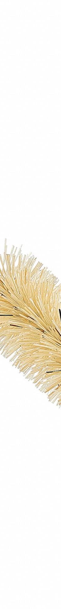 Test Tube Brush: 6 1/4 in Overall Lg, Nylon, Natural, 3 1/4 in Brush Head Lg, 1/2 in Bristle Lg (MPN 06134). Key specifications — Brand: TANIS; Non-Sparking: No; Bristle Color: Natural; Bristle Material: Nylon.