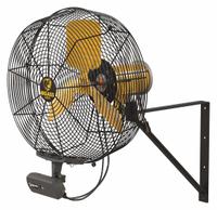 BIG ASS FANS Mounted Fan: 20 in Blade Dia, 120V AC, 1/3 hp Motor HP, Wall Mount, Non-Oscillating (MPN F-AE1-2001L13S34V56). Key specifications — Brand: BIG ASS FANS; Voltage: 120V AC; Number of Speeds: Variable; Fan Mounting Location: Wall; Oscillation: Non-Oscillating; Mounting Type: Bracket.