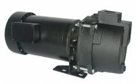 Sprinkler Pump: Self-Priming, 208-230/460V AC, 2 hp, 75 psi Shut Off, TEFC, 3 (MPN 5RWJ0). Key specifications — Brand: DAYTON; Motor Enclosure Type: TEFC.