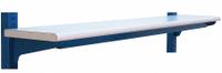 BENCHPRO Upper Shelf: 120 in Overall Wd, 12 in Overall Dp, White, Steel, Includes Mounting Hardware (MPN TSD12120). Key specifications — Includes Mounting Hardware: Yes; Color: White.