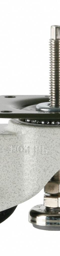 FOOT MASTER Plate Caster: Nylon Tread, 50 mm Wheel Dia, 73 mm Mounting Ht, 330 lb Load Capacity (MPN GDH-50-ASF-NYN). Key specifications — Brand: FOOT MASTER; Frame Color: White.