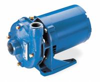 Centrifugal Pump: 3/4 hp, 208-230/460V AC, 37 ft Max Head, 1 1/2 in , 1 1/4 in Intake and Disch (MPN 2BF50734). Key specifications — Brand: GOULDS WATER TECHNOLOGY; Motor Enclosure Type: TEFC.