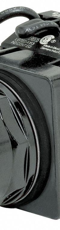 SIEMENS Illuminated Push Button: Illuminated, Extended Profile, Non-Metallic, 30 mm, 1NO/1NC (MPN 52BT6D2AB). Key specifications — Brand: SIEMENS; Action: Momentary; Series: Class 52; Push Button Material Type: Non-Metallic.