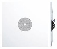 SPECO TECHNOLOGIES In-Ceiling Speaker: Powered, 2-Way, 8 ohm Impedance, 2 ft Overall Wd, G86TG2X2C. Key specifications — For Location: Indoor; Power Style: Powered.