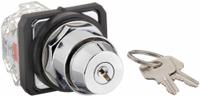 DAYTON Selector Switch: 2 Position, 30 mm Panel Mounting Size, 1NO/1NC (MPN 30G315). Key specifications — Manufacturer Part Number: 30G315; Brand: DAYTON; Switch Action: Maintained/Maintained; Contact Form: 1NO/1NC; Key Removal Position: Any Position.