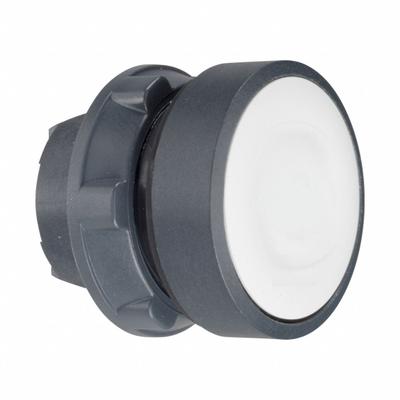 SCHNEIDER Flush Push Button: 22 mm Mounting Size, Non-Metallic - Illuminated Flush-Mount Push-Button Operators