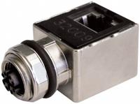 MURRELEKTRONIK Adapter: M12 Female Straight x RJ 45 Female Right Angle, M12 Female Straight, 8 Pins (MPN 7000-51541-0000000). Key specifications — RJ45 Connector Type: Panel Feed-Through Adapter.