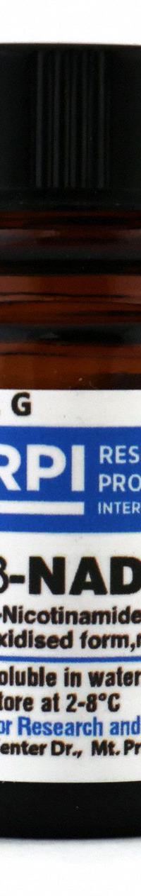 RPI NADP (B-Nicotinamide adenine dinucleotide phosphate, oxidised Form, monosodium salt): 1 g Volume (MPN N20120-1.0). Key specifications — Form: Powder; Special Information: BSE/TSE Free; Brand: RPI; Chemical Grade: Lab; Container Material: Plastic.