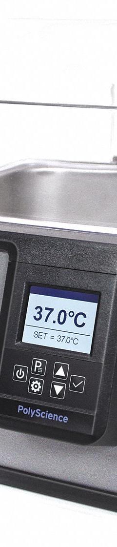 POLYSCIENCE Water Bath: 10 L Capacity, 100°C Max Temp, Stainless Steel, +/-0.1°C, Digital, 120V AC (MPN WBE10L11B). Key specifications — Display Type: Digital; Heated or Refrigerated: Heated; Brand: POLYSCIENCE; Interior Material: Stainless Steel; Programmable: Yes; Temperature Accuracy Tolerance: +/-0.1°C; Voltage: 120V AC.