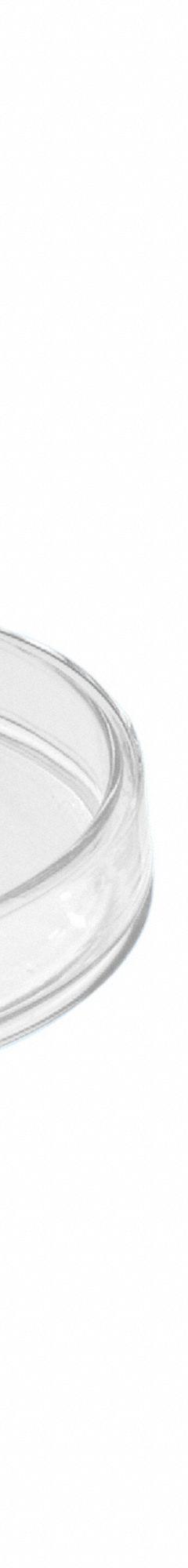 Petri Dish: 65 mm Dia, 15 mm Overall Ht, No Surface Treatment, Lid, Glass, Non-Sterile, Clear, Bag (MPN G1060). Key specifications — Includes: Lid; Material: Glass; Brand: UNITED SCIENTIFIC; Surface Type: No Surface Treatment.