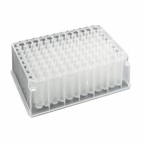 MTC BIO Deep-Well Well Plate: Non-Sterile, 96 Wells, 2 mL, 8.5 mm Dia, RNase/DNase Free, Round (MPN D3096-37). Key specifications — Brand: MTC BIO; Body Color: Colorless; RNase/DNase Free: Yes; Well Shape: Round; Material: Polypropylene.