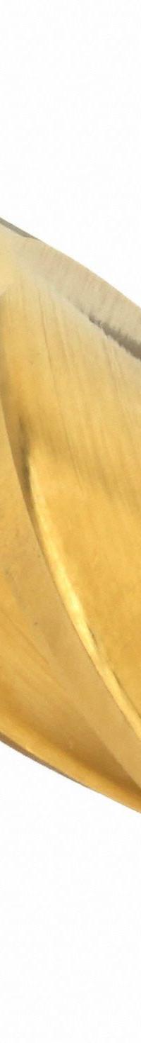 CLEVELAND Square End Mill: High Speed Steel, TiN Coated, 4 Flute, 13/16" Mill Dia, 1-7/8" LOC (MPN C33219)