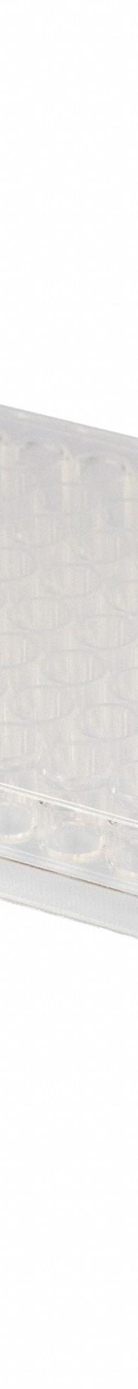 CAPLUGS 96-Well Flat Microplates: Non-Sterile, 96 Wells, 0.37 mL, 85 mm Dia, Square, Acrylic (MPN 29081200AFE1). Key specifications — Brand: CAPLUGS; Body Color: Natural; RNase/DNase Free: No; Well Shape: Square; Material: Acrylic.