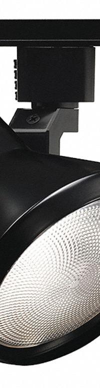 Track Lighting Head: Incandescent, Flared Shape, 120 W, 6 in Dia, 5 7/8 in Lg, Black (MPN R550 BL). Key specifications — Brand: JUNO LIGHTING; Lighting Technology: Incandescent; Housing Color: Black.