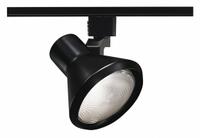 Track Lighting Head: Incandescent, Flared Shape, 120 W, 6 in Dia, 5 7/8 in Lg, Black (MPN R550 BL). Key specifications — Brand: JUNO LIGHTING; Lighting Technology: Incandescent; Housing Color: Black.