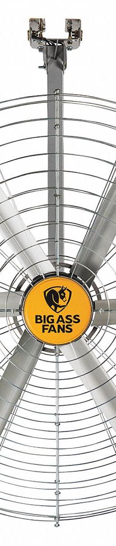 BIG ASS FANS Mounted Fan: 72 in Blade Dia, 115V AC, 1/2 hp Motor HP, Ceiling Mount, Non-Oscillating (MPN F-PV2-0601S34). Key specifications — Brand: BIG ASS FANS; Voltage: 115V AC; Number of Speeds: Variable; Fan Mounting Location: Ceiling; Oscillation: Non-Oscillating; Mounting Type: Bracket.