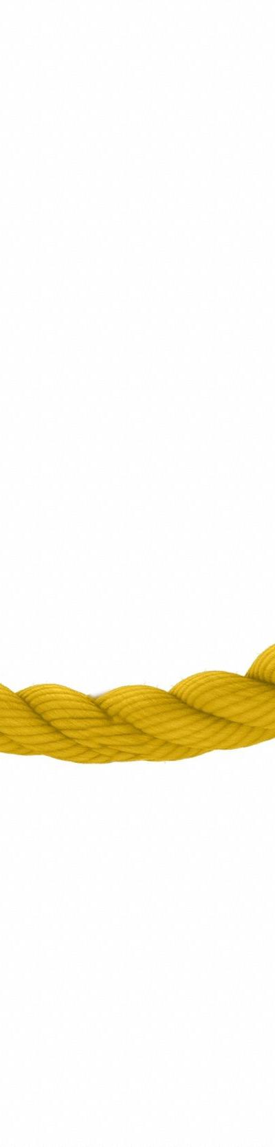 VISIONTRON Barrier Rope: Yellow, 10 ft Overall Lg, Polypropylene, Snap End - Barrier Ropes