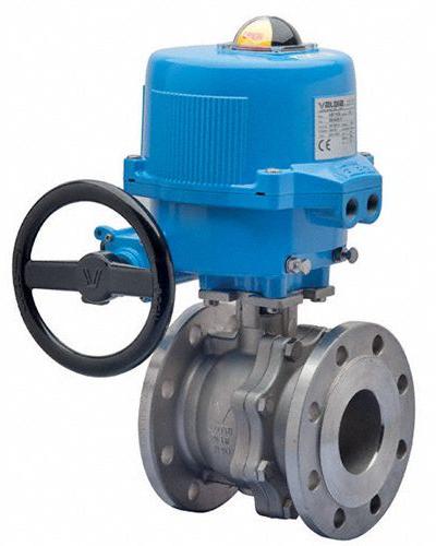 BONOMI Electrically Actuated Two-Way Ball Valve: 2 1/2 in, Stainless Steel, 12V AC/DC - Stainless Steel Electrically-Actuated Ball Valves