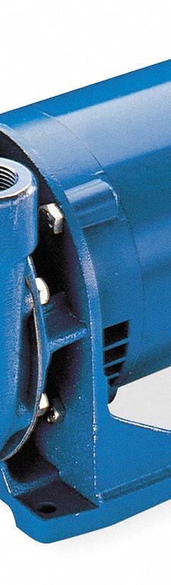 Centrifugal Pump: 3/4 hp, 208-230/460V AC, 60 ft Max Head, 1 1/4 in , 1 in Intake and Disch (MPN 1BF20734). Key specifications — Brand: GOULDS WATER TECHNOLOGY; Motor Enclosure Type: TEFC.