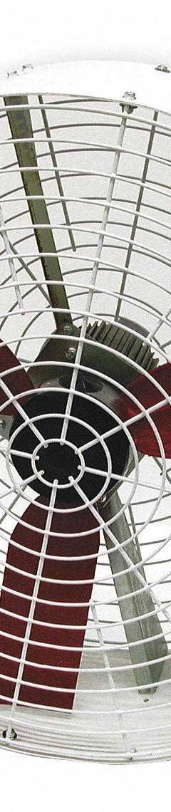 MULTIFAN Fan Head: 36 in Blade Dia, 1 Speeds, 115V AC, 1/2 hp Motor, Non-Oscillating (MPN TURBO36/120). Key specifications — Voltage: 115V AC; Brand: MULTIFAN; Number of Speeds: 1; Phase: Single.