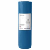 RESINTECH Organics Cartridge: Ions, 1.1 lpm Flow Rate, SBACRHP, AF-10-3621, 2 1/2 in Overall Dia, 1. Key specifications — Media Within: SBACRHP; Material: Thermoplastic Elastomer; Product Type: Organics Cartridge; Manufacturer Part Number: AF-10-3621.