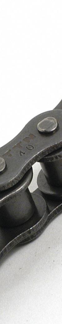 TRITAN Roller Chain: Single Strand, 25, 1/4 in Pitch, Steel, 10 ft Overall Lg, Riveted Pin, Steel (MPN 25-1R X 10FT). Key specifications — Brand: TRITAN.