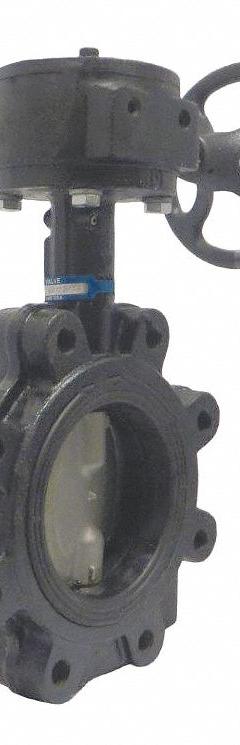 MILWAUKEE VALVE Butterfly Valve: 6 in Pipe Size, Concentric, 200 psi Max. Pressure (CWP), Lug, FKM (MPN ML334V). Key specifications — Brand: MILWAUKEE VALVE; Handle Type: Gear Operated Handwheel; Disc Material: CF8M Stainless Steel.