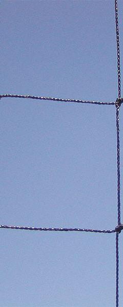 BIRD BARRIER Bird Repellent Netting: Bird Repellent Netting, Heavy, 625 sq ft Coverage Area, Black (MPN n3-b110). Key specifications — attr973634: BIRD BARRIER; attr973648: Polyethylene; attr973635: Black; attr1167352: Rot.