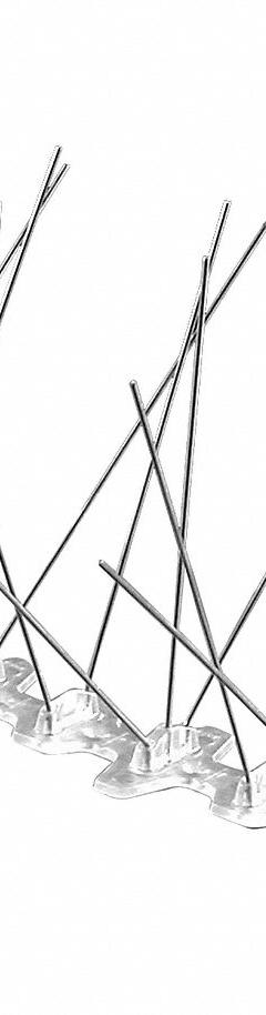BIRD BARRIER Bird Repellent Spikes: Wide, Plastic Base, Silver, 100 ft Overall Lg, 8 in Overall Wd (MPN BP-F3100). Key specifications — Brand: BIRD BARRIER; Spike Material: Stainless Steel; Targeted Birds: Pigeons; Base Material: Plastic; Ledge Width: Wide.