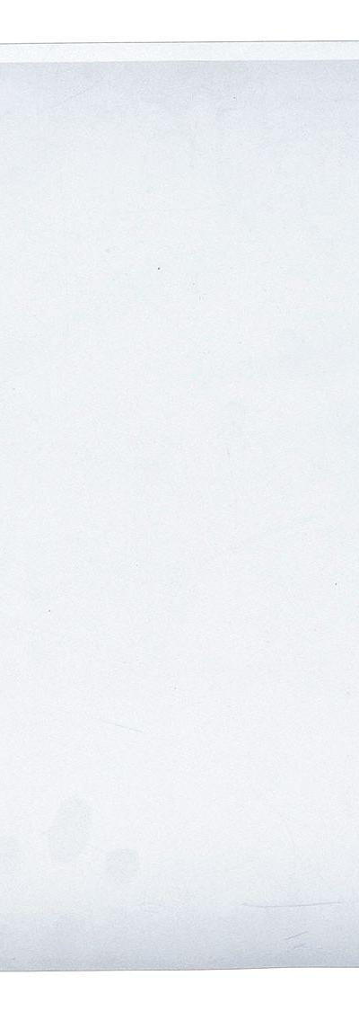 SP SCIENCEWARE Autoclavable Bag: Polypropylene - Single Pouch Specimen Transfer Bags