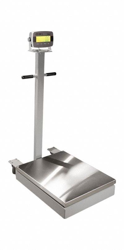 B-TEK Floor Scale: 1,000 lb Wt Capacity - Floor Scales