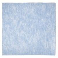 GRAINGER Air Filter Pad: 20 in x 24 in x 2 in, Polyester, Blue/White (MPN 6B738). Key specifications — attr1286261: Polyester; attr1286264: Yes; attr1286288: White; attr1286283: GRAINGER.