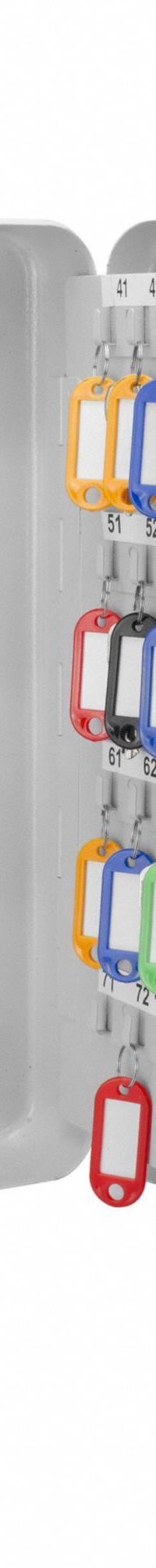 Key Cabinet: 160 Key Capacity, Single Key Lock, Steel, Gray, 14 1/2 in Ht, 11 in Wd, 3 1/4 in Dp (MPN CB12488). Key specifications — Brand: BARSKA; Finish: Matte; Includes Key Tags: Includes Key Tags; Includes Mounting Hardware: Mounting Hardware Included; Color: Gray; Mounting Location: Wall; Material: Steel.