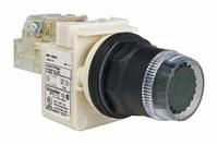 SCHNEIDER Illuminated Push Button: Illuminated, Flush Profile, Non-Metallic, 30 mm, SPDT (MPN 9001SK1L35GH13). Key specifications — Brand: SCHNEIDER; Action: Momentary; Series: 9001SK; Push Button Material Type: Non-Metallic.