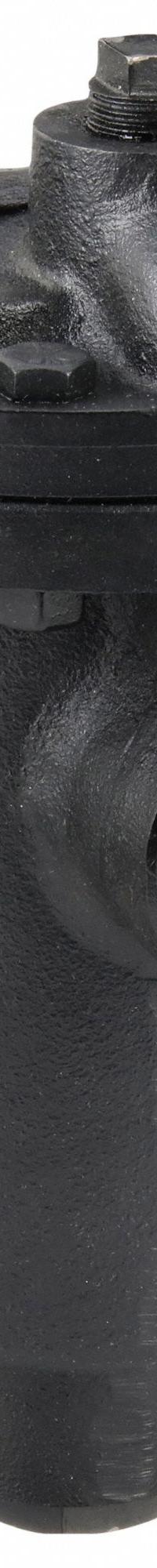 Steam Trap: Cast Iron, 1/2 in FNPT, 1,605 lb/hr, 200 psi Max., 450°F Max., Strainer Not Included (MPN IB12-2-200G). Key specifications — Installation Orientation: Horizontal; Brand: MEPCO; Configuration: In-line.