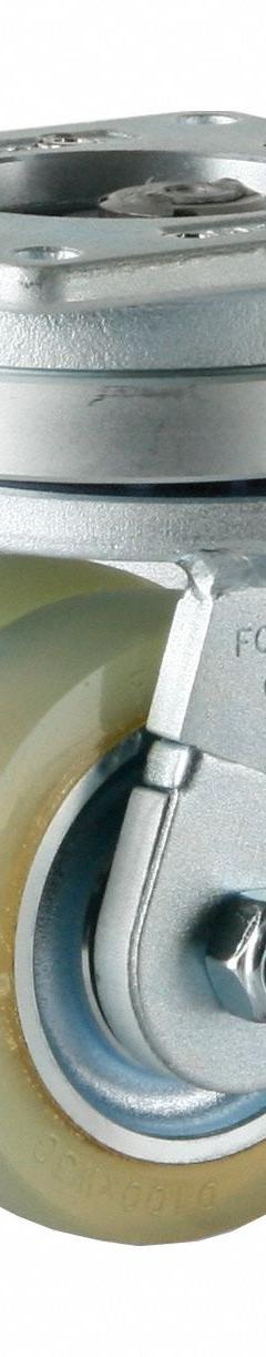 FOOT MASTER Plate Caster: Swivel, Polyurethane, 100 mm Wheel Dia, 30 mm Wheel Wd, 160 mm Mounting Ht (MPN GAAD-100ASF-HUD). Key specifications — Caster Type: Swivel; Brand: FOOT MASTER.