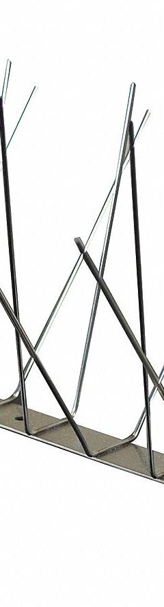 BIRD BARRIER Bird Repellent Spikes: Narrow, Stainless Steel Base, Silver, 51 ft Overall Lg (MPN BP-S250). Key specifications — Brand: BIRD BARRIER; Spike Material: Stainless Steel; Targeted Birds: Pigeons; Base Material: Stainless Steel; Ledge Width: Narrow.