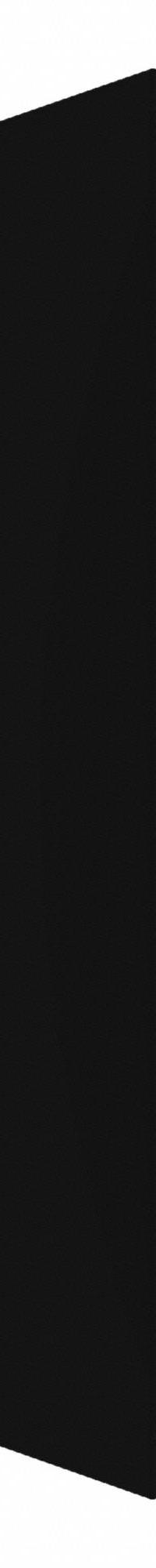 HADRIAN Pilaster: Solid Plastic HDPE, Plastic, Black, 80 1/2 in Ht, 16 in Wd, 1 in Thick (MPN X41016-211). Key specifications — Door Swing: Left Hand In/Right Hand Out; Brand: HADRIAN; Color: Black; Finish/Texture: Plastic.