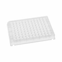 MTC BIO Well Plate: Non-Sterile, 96 Wells, 0.2 mL, 8.2 mm Dia, RNase/DNase Free, Square, Polystyrene (MPN KF05US-9-N). Key specifications — Brand: MTC BIO; Body Color: Colorless; RNase/DNase Free: Yes; Well Shape: Square; Material: Polystyrene.