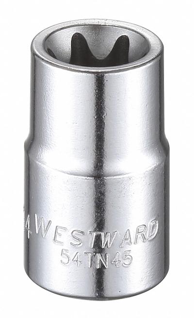 WESTWARD Socket: 3/8 in Drive Size, E14 Socket Size, External Torx, Std, Chrome - 3/8" Drive External Torx Hand Sockets