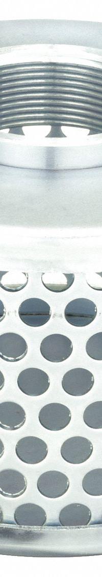 DAYTON Suction Strainer: Steel Body, Round, Side, FNPT, 1 1/2 in Strainer Thread Dia, Female, NPT (MPN 1P689). Key specifications — Strainer Material: Steel; Perforation Shape: Round; Perforation Location: Side; Brand: DAYTON.