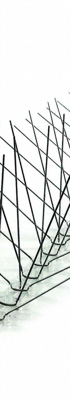 BIRD-X Bird Repellent Spikes: Narrow, Plastic Base, Silver, 50 ft Overall Lg, Stainless Steel Spikes (MPN SLS-50). Key specifications — Brand: BIRD-X; Spike Material: Stainless Steel; Targeted Birds: Pigeons; Base Material: Plastic; Ledge Width: Narrow.