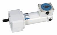 LEESON Parallel Shaft Gearmotors: Parallel, 90V DC, TENV, 42 RPM, 220 in-lb Max Torque, 58:1, 2.6 A (MPN M1125269.00). Key specifications — Motor Type: Permanent Magnet DC; Brand: LEESON; Full Load Current: 2.6 A.