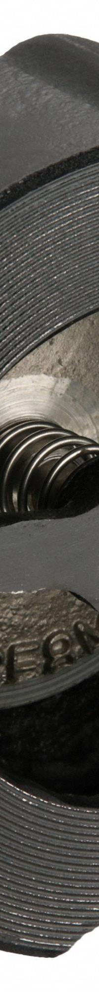 SSI Silent Check Valve: Swing, Inline Valve Body, 2 1/2 in Pipe Size, Wafer, Cast Iron, Wafer, Wafer (MPN 0250-125WCITM-T). Key specifications — Brand: SSI.