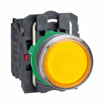 SCHNEIDER Illuminated Push Button: Illuminated, Flush Profile, Non-Metallic, 22 mm - Illuminated Flush-Mount Push Buttons