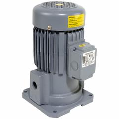 GRAYMILLS Machine Tool Pump: 115/230V AC, 1/2 hp, 500 SUS Max Visc, 35 gpm Max Flow, 3/4" NPT (MPN IMS50-E). Key specifications — Brand: GRAYMILLS; Ports: 3/4" NPT.