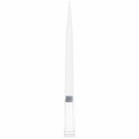 GLOBE SCIENTIFIC Filtered Pipette Tip: Sterile, 1,000 ul Capacity, Preconfigured Rack, Clear, 1,920 (MPN 150938). Key specifications — Autoclavable: Autoclavable; Brand: GLOBE SCIENTIFIC; Color: Clear; Disposability: Single-Use; Material: Polypropylene; Sterility: Sterile; For Pipette Type: Universal; Includes Filter: Filter Included.