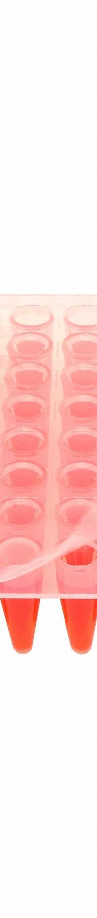 MTC BIO PCR Sealing film: Non-Sterile (MPN P1001-PCR). Key specifications — Brand: MTC BIO; Sterility: Non-Sterile.