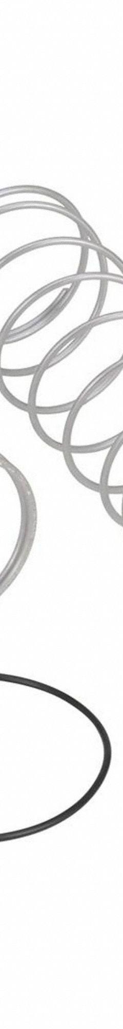 WILKINS Repair Kit: Repair Kit, 213YP0/834D32/834D36/834D37/834D39, Repair Kit, 950XL (MPN RK114-950XL). Key specifications — Compatible Valve Size: 2 in; Compatible with Grainger Part No.: 834D39; Compatible with Series: 950XL; Compatible with Mfr. Model No.: 114-950XLT2; Includes: (2) Check Spring.